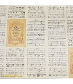 Papel Decoupage 50 x 70 cm Don Juan-Clásicos y  Escritura-Batallon Manualidades