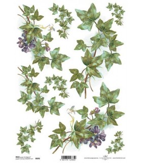 Papel de Arroz Decorado 21 x 29,7 cm Hojas Hiedra-Flores y Plantas-Batallon Manualidades