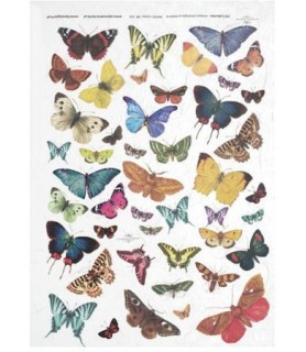 Papel de Arroz Decorado 21 x 29,7 cm Mariposas Variadasr-Animales-Batallon Manualidades
