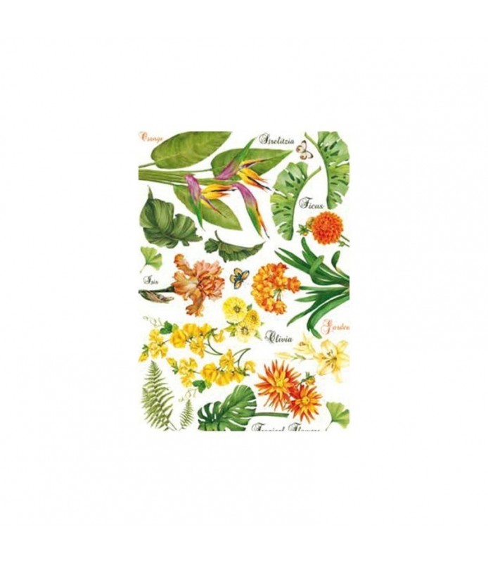 Papel de Arroz Decorado 35 x 50 cm Tropical Flower