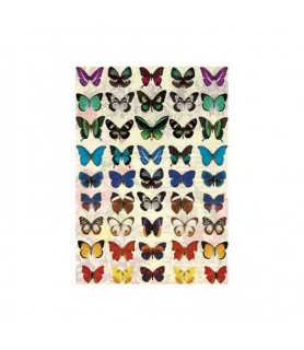 Papel de Arroz Decorado 35 x 50 cm Mariposas-Animales-Batallon Manualidades