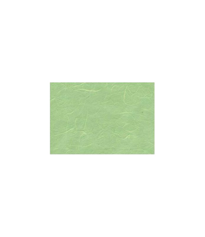 Servilleta en Papel de Arroz 50 x 50 cm - 14 g Verde-Servilletas de Papel de Arroz-Batallon Manualidades