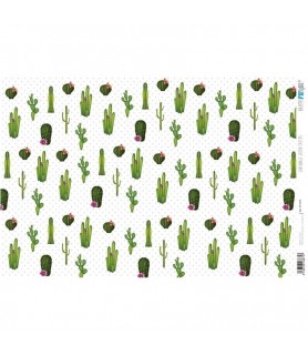 Papel Cartonaje 32 x 48,3 cm Green Cactus-Flores y Plantas.-Batallon Manualidades