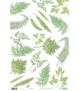Papel Cartonaje 32 x 48,3 cm Green Fern Leaves-Flores y Plantas.-Batallon Manualidades