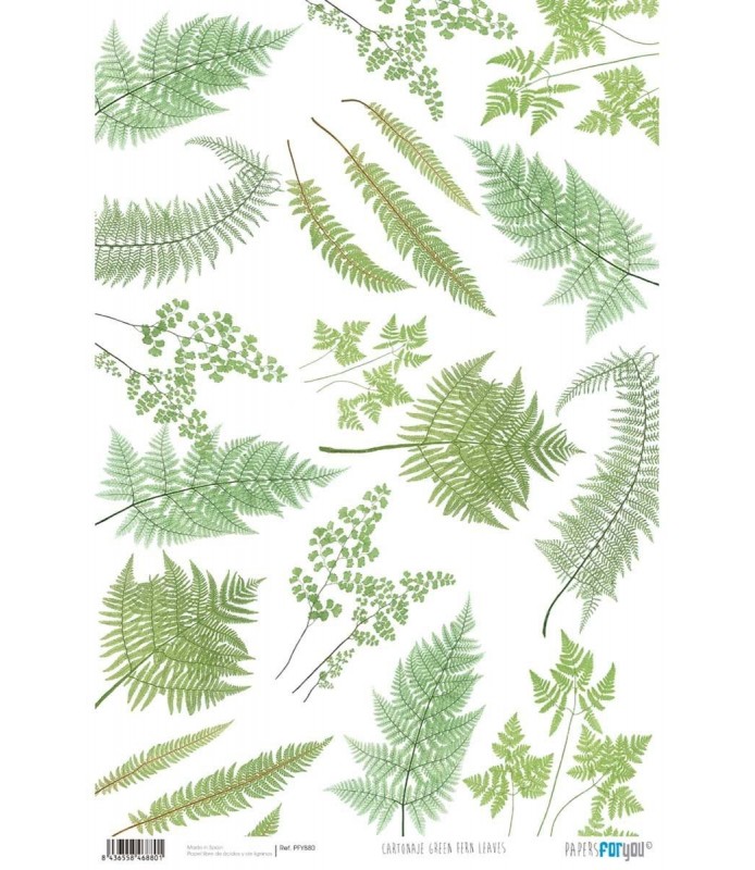 Papel Cartonaje 32 x 48,3 cm Green Fern Leaves