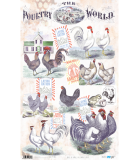 Papel de Arroz Decorado 33 x 54 cm Gallinero Class