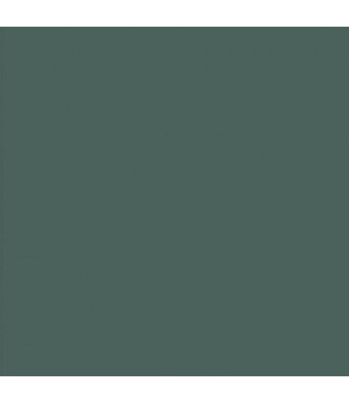 Lamina 40 x 60 cm - 2 mm Verde oscuro 29