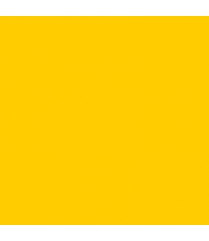 Cartulina Lisa 50 x 65 cm  Amarillo Medio