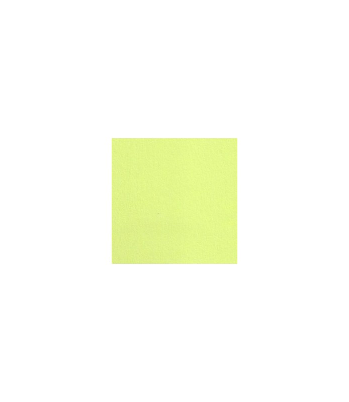 Cartulina Lisa 50 x 65 cm Verde Lima