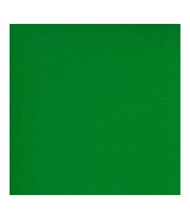 Cartulina Lisa 50 x 65 cm Verde Intenso-Cartulina Lisa-Batallon Manualidades