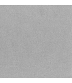 Cartulina Lisa 50 x 65 cm  Gris-Cartulina Lisa-Batallon Manualidades