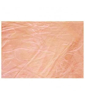 Papel de Arroz Liso 47 x 64 cm Salmon-Liso-Batallon Manualidades