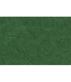 Papel de Arroz Liso 47 x 64 cm Verde Oscuro-Liso-Batallon Manualidades