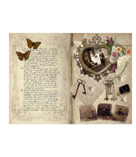 Papel Arroz 30 x 42 cm Libro Antiguo-Surtido-Batallon Manualidades