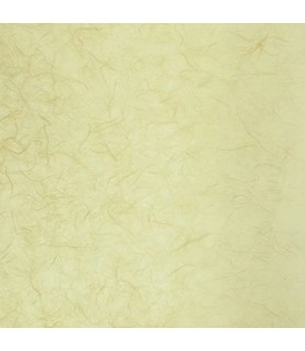 Papel de Arroz Liso 47 x 64 cm Crudo-Liso-Batallon Manualidades
