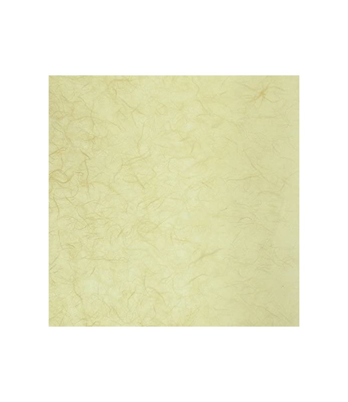 Papel de Arroz Liso 47 x 64 cm Amarillo Claro