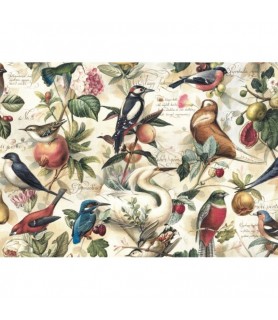 Papel Decoupage 0,70 x 100 m Pajaros  y Frutas