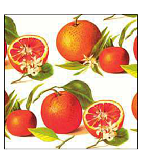 Papel Decoupage 50 x 70 cm Naranjas-Frutas y Verduras-Batallon Manualidades