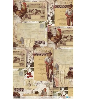 Papel Arroz Deco 33 x 54 cm La Vie a la Ferme 4344