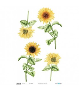 Papel de Arroz Decorado 33 x 54 cm Sunflowers -Flores y Plantas-Batallon Manualidades