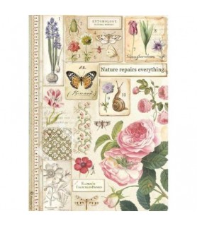 Papel de Arroz Stamperia Entomology-Flores y Plantas-Batallon Manualidades