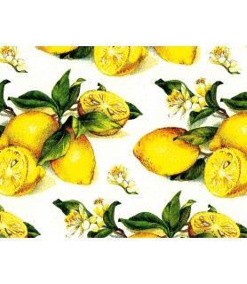 Papel Decoupage 50 x 70 cm Limones-Frutas y Verduras-Batallon Manualidades
