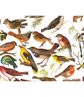 Papel para decoupage pájaros-Animales-Batallon Manualidades
