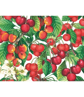 Papel Decoupage 50 X 70 cm Cerezas-Frutas y Verduras-Batallon Manualidades