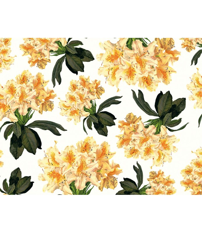 Papel para decoupage rhododendrum amarillo-Flores y Plantas-Batallon Manualidades