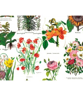 Papel para decoupage floral-Flores y Plantas-Batallon Manualidades