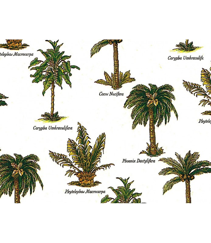 Papel para decoupage palmeras -Flores y Plantas-Batallon Manualidades