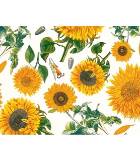 Papel Decoupage 50 x 70 cm Girasol-Flores y Plantas-Batallon Manualidades