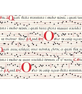 Papel decoupage 50 x 70 cm Canto Medieval-Clásicos y  Escritura-Batallon Manualidades