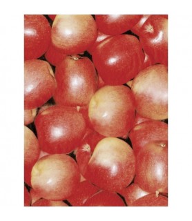 Papel Fino Decopatch Nº 491 "Manzanas" 30X40 cm